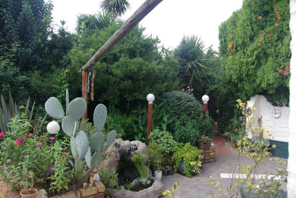 Sleep Eezy Cottages Беноні Екстер'єр фото